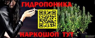 ГАЛЛЮЦИНОГЕННЫЕ ГРИБЫ Ставрополь