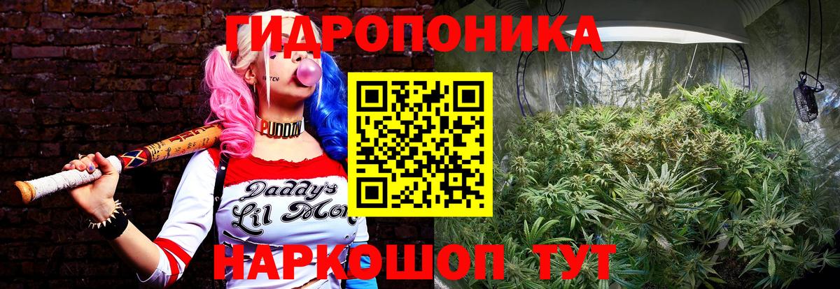COCAIN Новошахтинск
